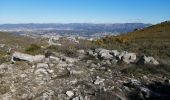 Tocht Stappen Marseille - mont carpiagne - Photo 12