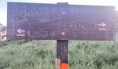 Trail Walking Calenzana - Rando Calenzana Bonifatu - Photo 1
