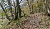 Randonnée Marche Esneux - Roche aux Faucons 13 Km - Photo 4