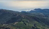 Tour Wandern Collioure - les Batteries Taillefer la Madeloc_T - Photo 5