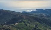 Tocht Stappen Collioure - les Batteries Taillefer la Madeloc_T - Photo 5