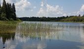 Percorso A piedi Les Crozets - Les Crozets-Lac d'Etival - Photo 1