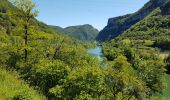 Trail Bicycle tourism Pont-de-Poitte - Pont de Poitte - Poncin - Photo 16