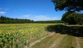 Tocht Stappen Azay-le-Rideau - Azay-le-Rideau - Goupillières Baulay - 15.1km 185m 3h35 - 2022 07 12 - Photo 3