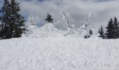 Trail Walking Megève - COL DU JAILLETdepuis Maison Neuve 1280m - Photo 2