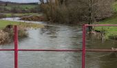 Tocht Stappen Neufchâteau - Randonnée à Neufchâteau  - Photo 11