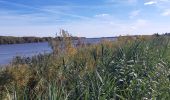 Excursión Senderismo Arles - Bords du grand Rhône - Photo 1