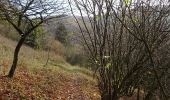 Tour Zu Fuß Bodenwerder - Über die Himckeburg ins romantische Rühler Tal - Photo 4