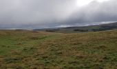 Tour Nordic Walking Prades-d'Aubrac - SityTrail - Sentier thématique de Brameloup - Photo 2