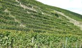 Tour Zu Fuß Lauffen am Neckar - Panoramaweg Hölderlin und Wein (RWW1) - Photo 3