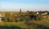 Tocht Te voet Gemeinde Leopoldsdorf - Augenblick Runde - Photo 8