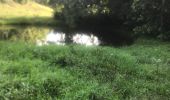 Trail Walking Sainte-Anne - Saragotte  - Photo 1