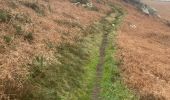 Trail Walking Beuzec-Cap-Sizun - Beuzec falaise beuzec - Photo 9
