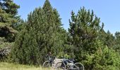 Tocht Elektrische fiets Vialas - TOUR DU MONT LOZERE - Photo 2