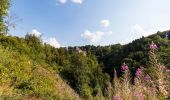 Randonnée A pied Waimes - Barrage : Nez Napoléon - Warche - Château - Photo 4