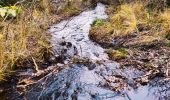 Randonnée Marche Manhay - Les sources de l’Aisne  - Photo 5