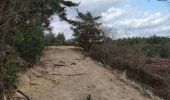 Tocht Stappen Maaseik - A la découverte des dunes du Limbourg  - Photo 2