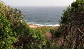 Randonnée Marche Le Moule - Anse Petite Savane - Anse à l'Eau - Photo 3