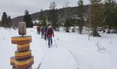 Randonnée Raquettes à neige Les Rousses - lac gèle des Rousses - Photo 4