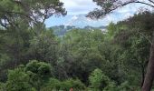 Tour Wandern La Seyne-sur-Mer - fabregas - Photo 8