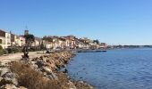 Trail Walking Bouzigues - Terre et mer à Bouzigues - Photo 1