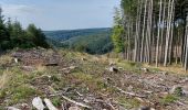 Tocht Stappen La Roche-en-Ardenne - Samree 210921 - Photo 1