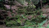 Tocht Te voet Waldbrunn - Rundwanderweg 53: Wolfsschlucht-Weg - Photo 2