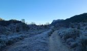 Trail Walking Mas-de-Londres - 2 Mas de Londres par la Jasse du 18-01-2025 - Photo 3