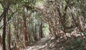 Trail Walking Unknown - Presqu'île de Daejangdo-ri - Photo 17