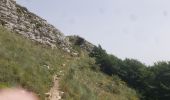 Trail Walking Andon - Les  Lys Pomponne de la montagne de Thiey - Photo 7