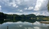 Tour Zu Fuß Hausen am Albis - Türlerseerundweg - Photo 4