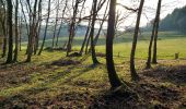 Tour Wandern Arches - arches nouvel an - Photo 1