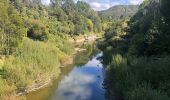 Tocht Te voet Unknown - Te Araroa - 04 Whanganui - c National Park to Whanganui River - Photo 3