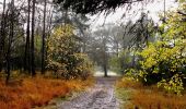 Tour Zu Fuß Oerlinghausen - Holzweg - Photo 6