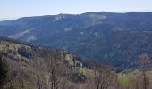 Tocht Stappen Sewen - Lac d'Alfed et sa cascade - Lac des Perches  - Lac du Newiher - Photo 16