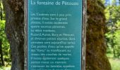Tocht Stappen Presles - Fontaine de Pétouze- Grotte des boeufs - Photo 8