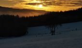 Trail Walking Stoumont - balade hivernale avec Rantanplan  - Photo 4