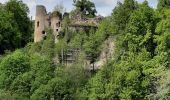 Randonnée Marche Oberlarg - oberlag- château de morimont  - Photo 1
