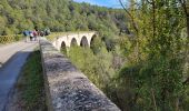 Trail Walking Seillans - 