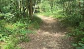 Excursión Senderismo Soisy-sur-École - Soizy-sur-Ecole - La Padole - Photo 6