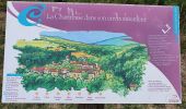 Tour Wandern Sainte-Croix-en-Jarez - Saint Croix en Jarrez - Photo 12