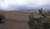 Trail Walking Tizi N'Isly - Autour du gite Mourik - Photo 1