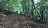 Trail Mountain bike Urrugne - Iraty 2  - Photo 1