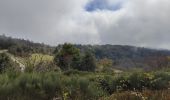 Tour Wandern Le Bessat - Croix de Chaubouret - Crêt de Botte - Col de l'Oeuillon  - Photo 7