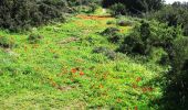 Trail On foot Mate Yehuda Regional Council - Midras ruins - Masua observatory - Photo 1