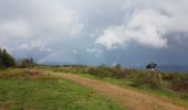 Tocht Stappen Saint-Régis-du-Coin - tourbière de Gimel - Photo 2