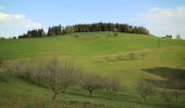 Tocht Te voet Söding-St. Johann - Stallhofner Rundweg - Photo 5