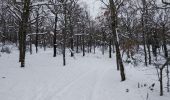 Randonnée Ski de fond Escragnolles - panoramique enneigé - Photo 10