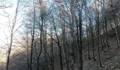 Percorso A piedi Morterone - Sentiero dei Grandi Alberi - Photo 10