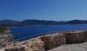 Randonnée Marche Cargèse - la Tour de cargese Corse - Photo 10